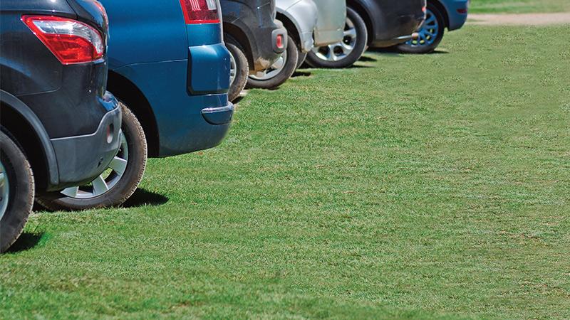 Grass Pavers