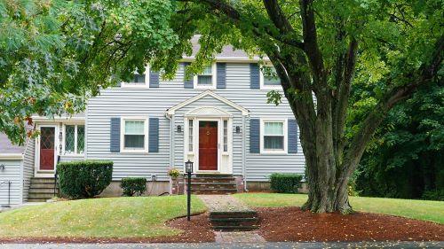 Residence with yard and tree